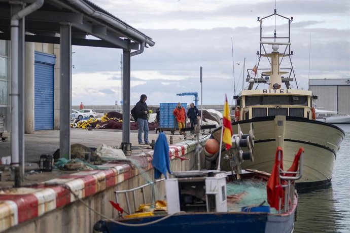 Varias personas trabajan en el Puerto de Arenys