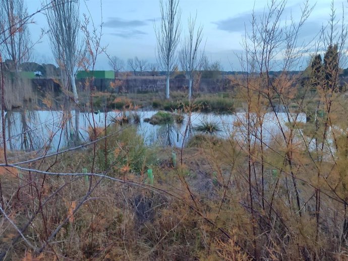 CCD en Aldeamayor denuncia ante la Junta posibles vertidos de aguas fecales en el Golf procedentes de la EDAR .