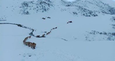 Asturias