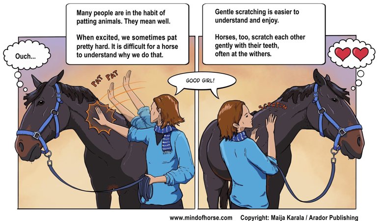 Comunicados Internacional