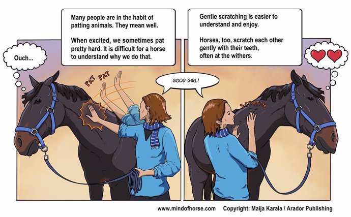 Scientists have uncovered fascinating insights into familiar situations, such as whether horses actually want to be patted.