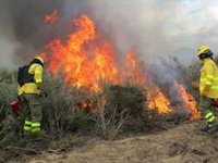Las quemas prescritas en Doñana (Huelva) favorecen población de conejo, principal presa del lince y el águila imperial