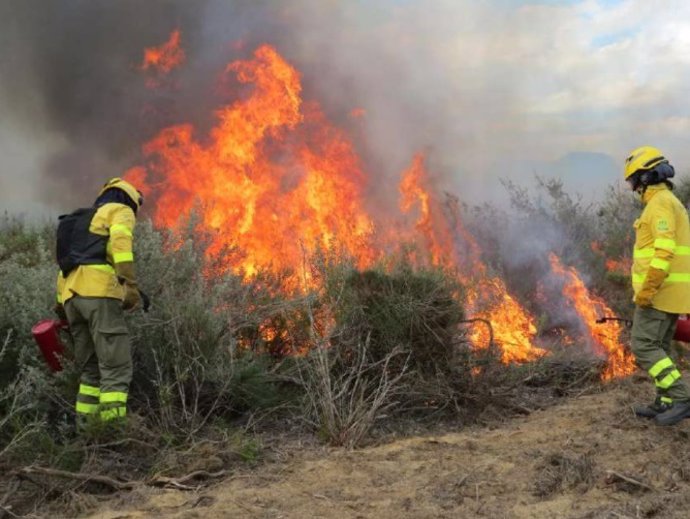 Quema controlada en Doñana.