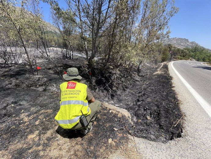 Archivo - Un Agente Forestal investiga las causas de un incendio