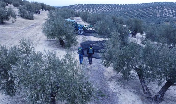 La Guardia Civil en una explotación agrícola.