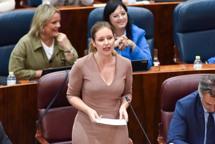 Archivo - La consejera de Familia, Juventud y Asuntos Sociales, Ana Dávila, interviene durante un pleno en la Asamblea de Madrid, a 16 de noviembre de 2023, en Madrid (España). 