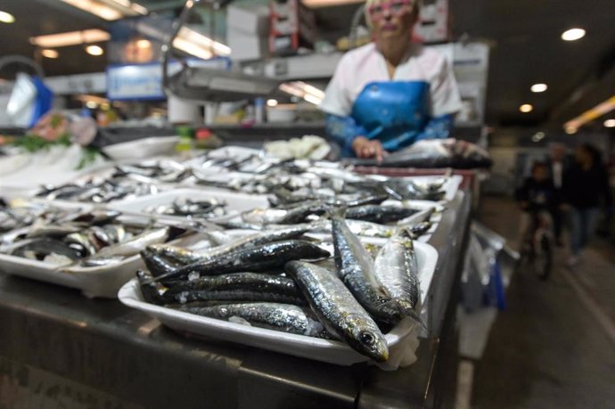 Archivo - Sardinas en las pescaderías de la Praza de Lugo, a 22 de junio de 2023, en A Coruña, Galicia (España). El kilo de sardina ha alcanzado en la mañana de hoy un precio de unos ocho euros en las pescaderías de la Praza de Lugo, en A Coruña, el día a