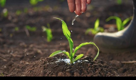 Comunicados Empresas