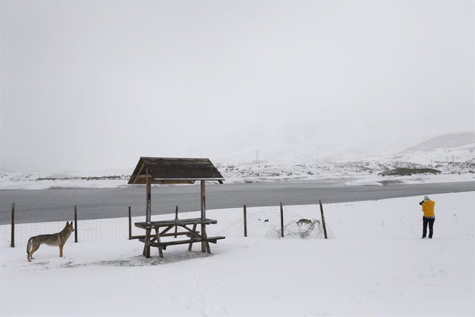 Archivo - Imagen de archivo de una nevada en la provincia de León.