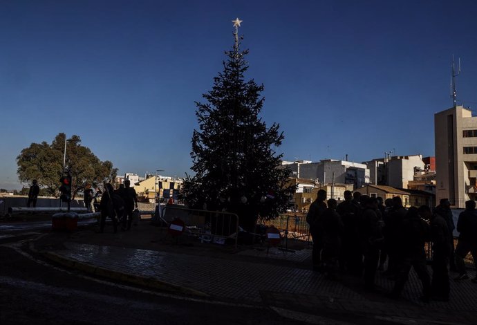 Un abeto de Navidad en las inmediaciones del barranco del Poyo, a 13 de diciembre de 2024, en Paiporta, Valencia, Comunidad Valenciana (España). La zona cero de la DANA se enfrenta a la campaña de Navidad tras más de 40 días desde que las inundaciones arr