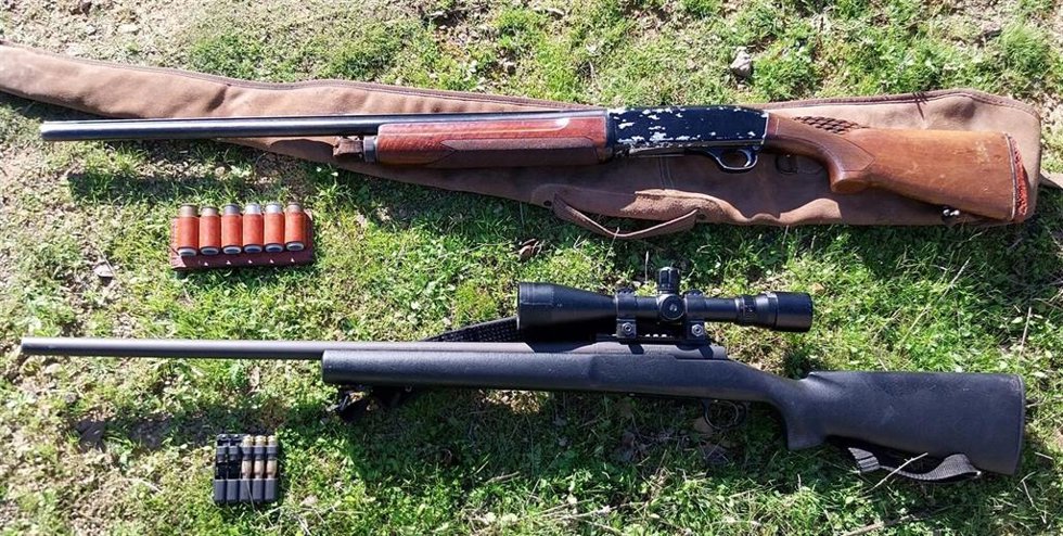 Armas intervenidas.