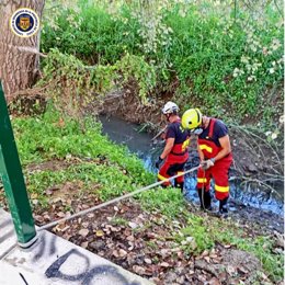 Bomberos de Cádiz durante la intervención.