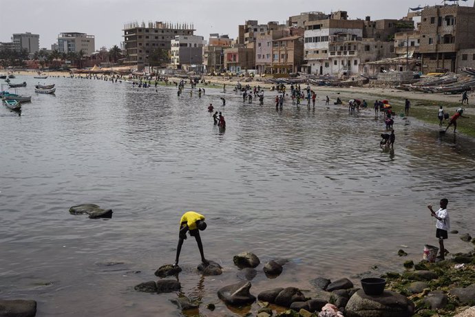 Archivo - June 17, 2024, Dakar, Senegal: After praying during the Tabaski celebrations (Aid al-Adha), and after having slaughtered and eviscerated the sheep, families from the popular Ngor district of Dakar, come to wash and empty the viscera on the beach