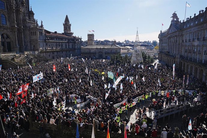 Miles de personas durante una nueva protesta contra la empresa de celulosa Altri, a 15 de diciembre de 2024, en Santiago de Compostela, A Coruña, Galicia (España). 