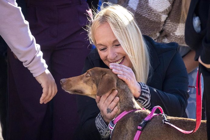 Imagen de una de las asistentes a la 25a edición del Desfile de Navidad para adoptar perros abandonados y afectados por la dana que ha organizado Bioparc junto a la protectora AUPA