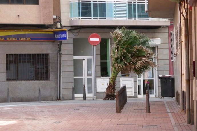 Archivo - El viento sacude con fuerza una palmera en Las Palmas de Gran Canaria, en Canarias (España), a 4 de febrero de 2021. Canarias recibió este miércoles una profunda vaguada atlántica que provocará un aumento considerable de la inestabilidad atmosfé