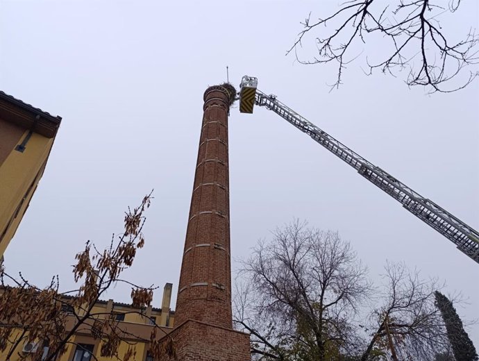 Bomberos retiran un nido de cigüeña en Pinto por riesgo de caída