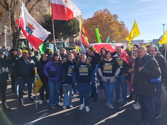 Ganaderos cántabros en la manifestación en Madrid contra el acuerdo con Mercosur