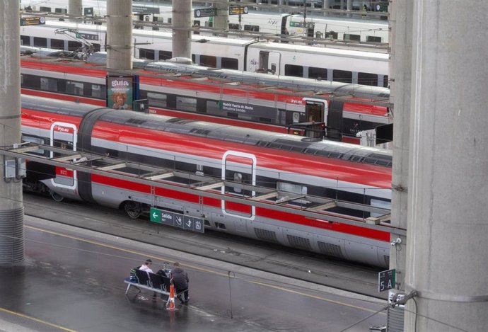 Varios trenes en la Estación Puerta de Atocha-Almudena Grandes