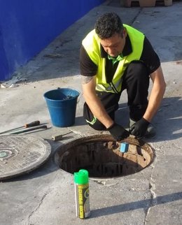 Control de roedores en Málaga.