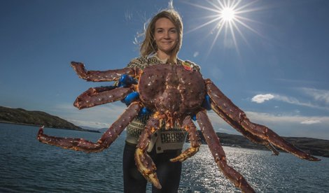 Comunicados Sociedad