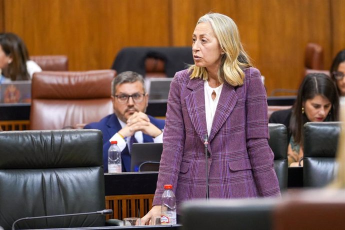 La consejera de Salud y Consumo, Rocío Hernández, en imagen de archivo en el Parlamento