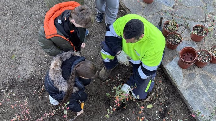 Un operario del Ayuntamiento de Huesca ayuda a varios alumnos de tercero de primaria del colegio San Vicente en la jornada de plantación celebrada en el Parque Universidad con motivo de la concesión de la Greed Flag a este espacio verde de Huesca.  