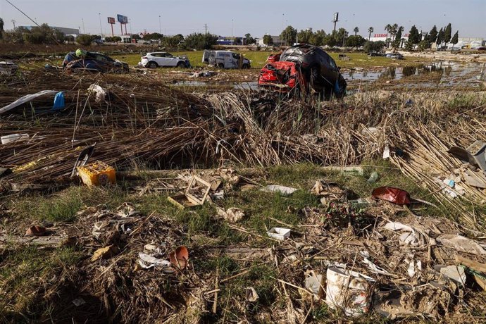 Restos de la DANA en un campo de arrozales en las inmediaciones de la Albufera, a un mes del paso de la DANA por Valencia, a 29 de noviembre de 2024, en Valencia, Comunidad Valenciana (España). 