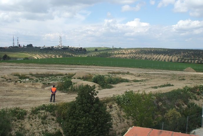 Archivo - Terrenos del entorno del tholos calcolítico de Montelirio