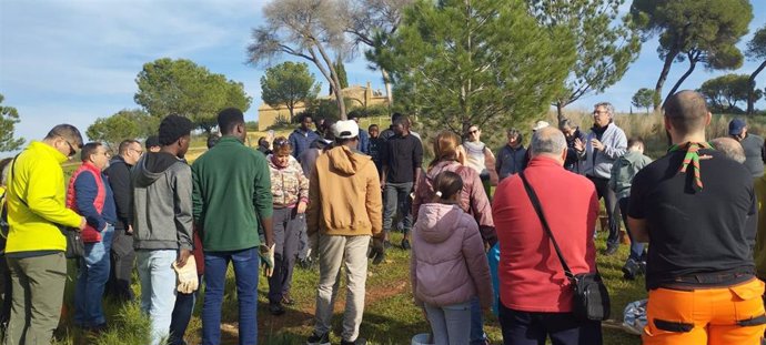 Imagen de la nueva plantación ciudadana en Alcalá de Guadaíra