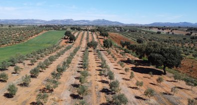 Extremadura