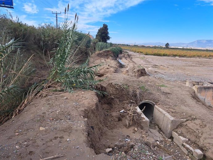 Entorno del Arroyo Salado.