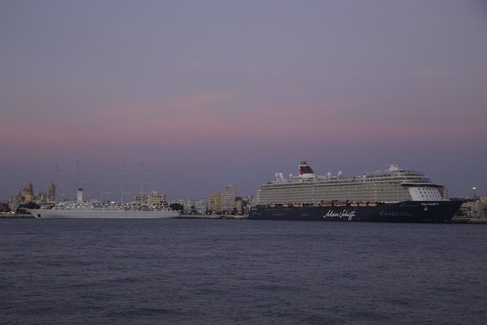 El puerto de Cádiz con dos cruceros atracados.