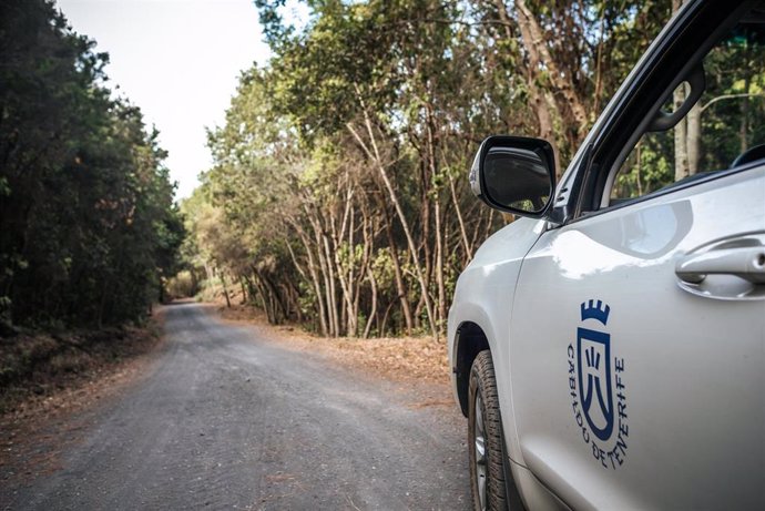 Archivo - El Cabildo de Tenerife desactiva el Plan Insular de Emergencias