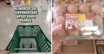 Los alimentos del supermercado aptos para perros que recomienda una veterinaria: "No es comida humana, es comida"