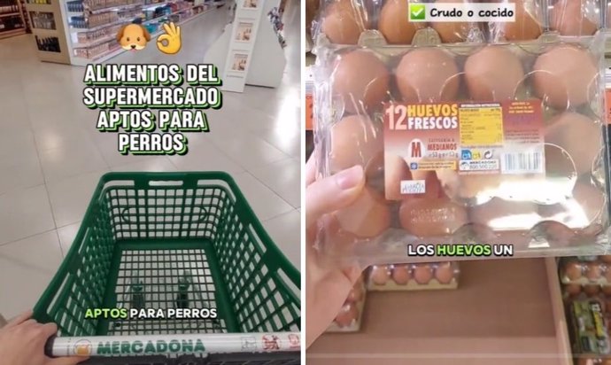 Los alimentos del supermercado aptos para perros que recomienda una veterinaria: “No es comida humana, es comida”