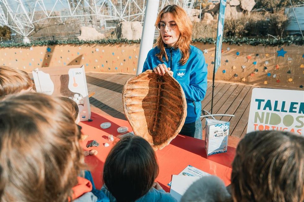 Talleres de nidos en l'Oceanogrfic