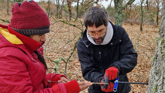 Investigadores participan en el proyecto Palfuel sobre la gestión energética en el Paleolítico.