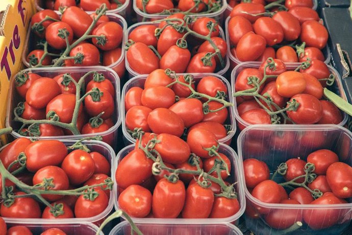 Bandejas de tomate cherry pera.