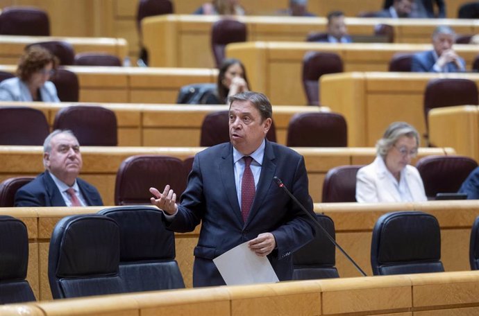Archivo - El ministro de Agricultura, Pesca y Alimentación, Luis Planas, durante una sesión de control al Gobierno, en el Senado,  