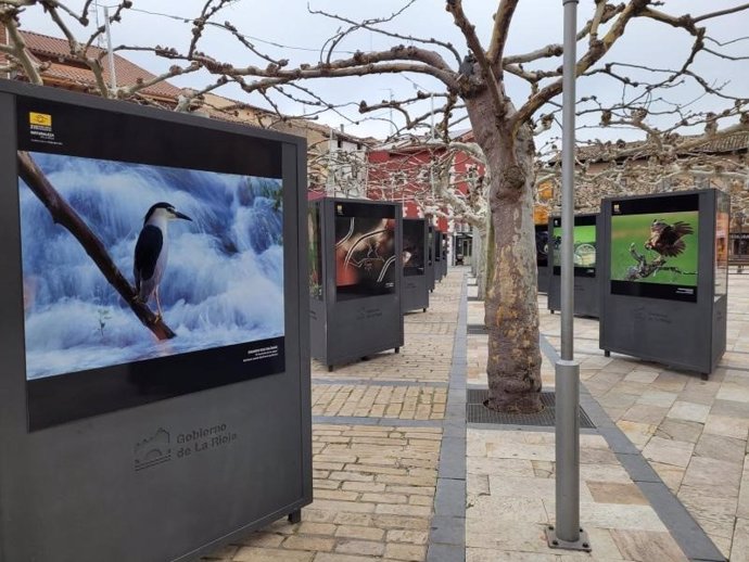 La exposición 'Naturaleza de La Rioja' llega a Fuenmayor, con visita guiada programada para el 11 de enero