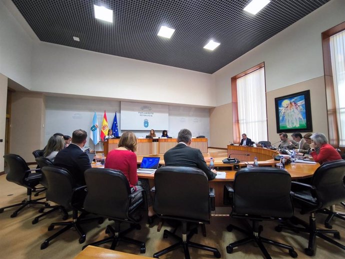 Comisión de investigación de la contratación de la Xunta en el Parlamento de Galicia, 28 de noviembre de 2024.