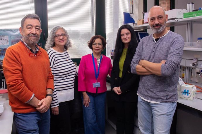 Grupo de investigación en la Universidad Pablo de Olavide (UPO)