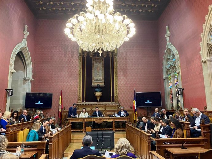 Pleno extraordinario del Consell de Mallorca para la votación de los presupuestos insulares de 2025, este miércoles.