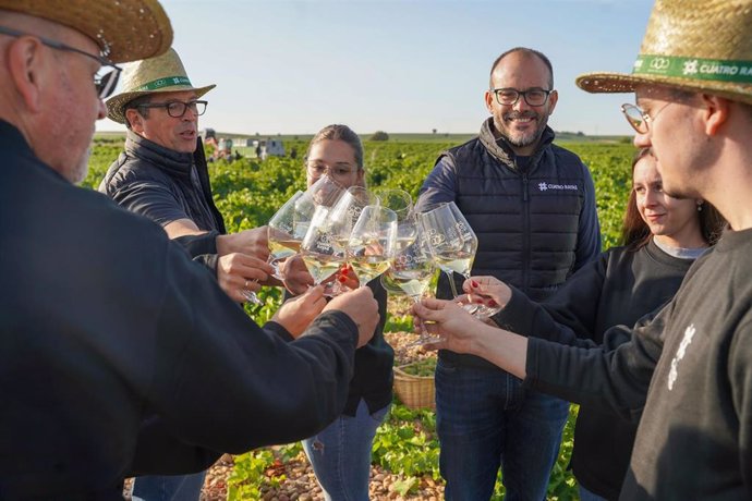 Archivo - Trabajadores De Bodega Cuatro Rayas Brindan El Pasado Mes De Octubre Al Finalizar La Vendimia 2024.