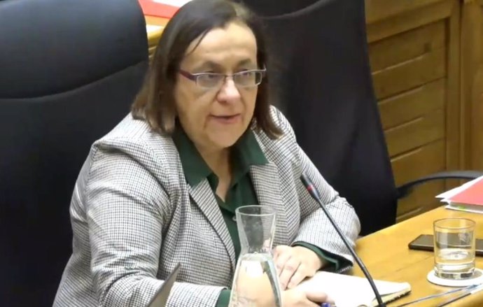 Natalia González, concejala del Grupo Municipal Socialista del Ayuntamiento de Gijón, interviene en el Pleno Municipal gijonés.