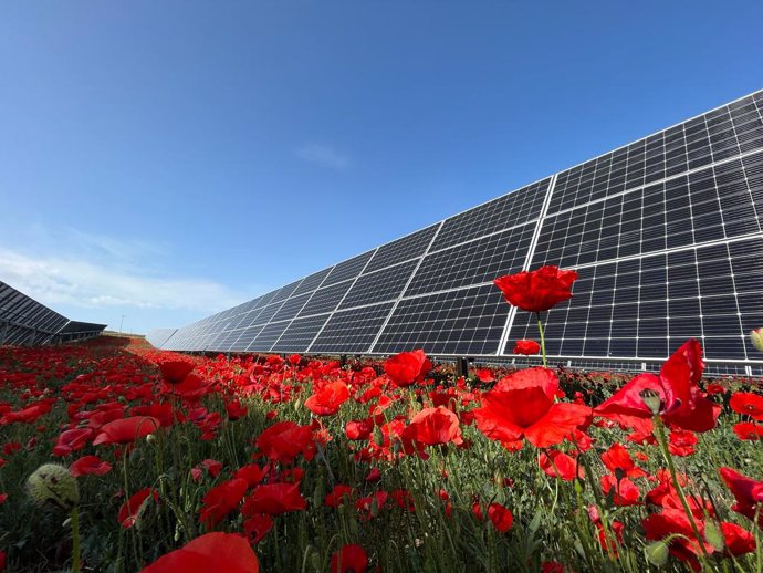 Archivo - Una placa en una instalaciuón fotovoltaica 