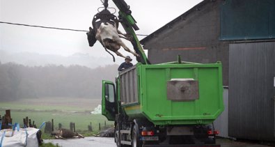 Galicia Rural