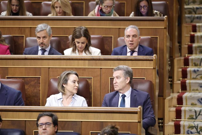 La secretaria general del PP, Cuca Gamarra y el presidente del PP, Alberto Núñez Feijóo, durante una sesión de control al Gobierno, en el Congreso de los Diputados, a 18 de diciembre de 2024, en Madrid (España). Durante la sesión de control, el PP se cent