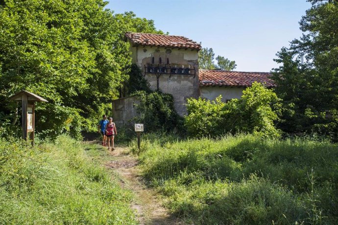 Archivo - Comarca del Maestrazgo